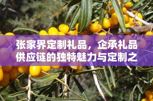 张家界定制礼品，企承礼品供应链的独特魅力与定制之旅