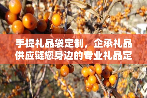 手提礼品袋定制，企承礼品供应链您身边的专业礼品定制公司